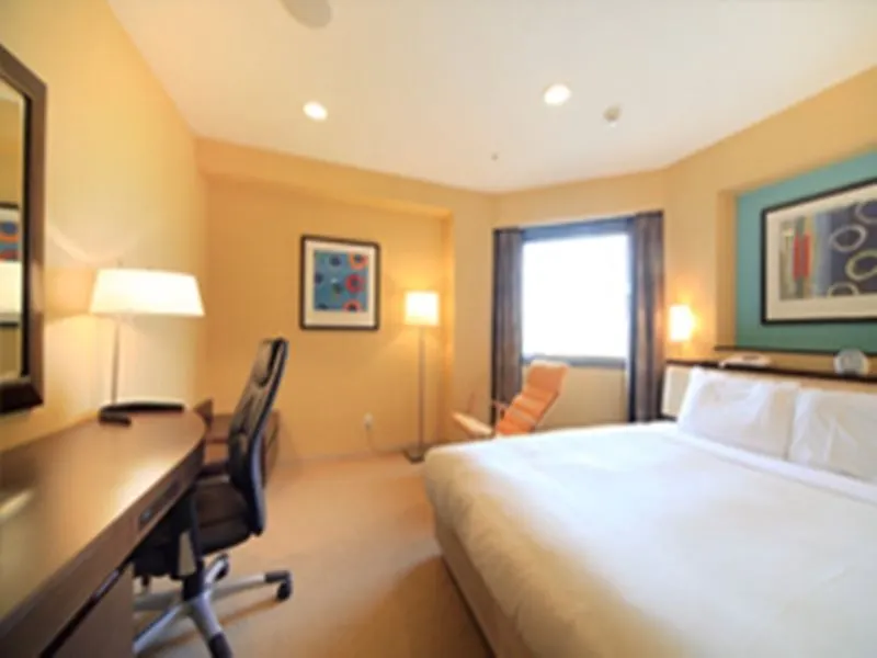 Hotel Sotetsu Fresa Inn Kawasaki-Higashiguchi Kawasaki